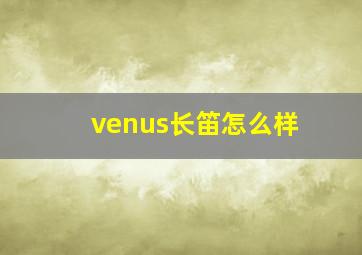 venus长笛怎么样