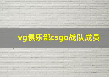 vg俱乐部csgo战队成员