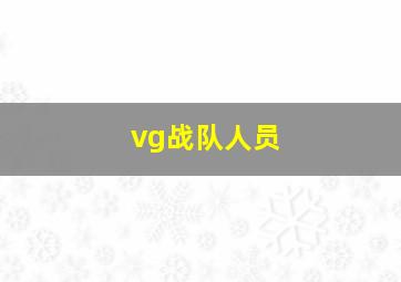 vg战队人员