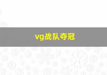 vg战队夺冠