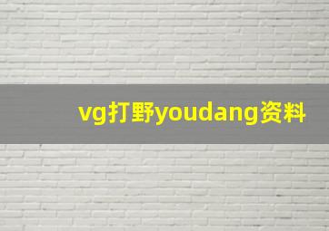 vg打野youdang资料