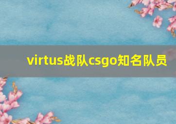 virtus战队csgo知名队员