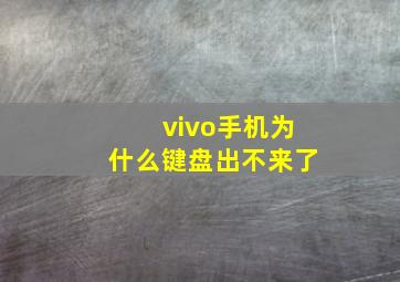 vivo手机为什么键盘出不来了