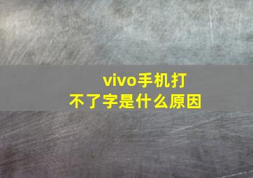 vivo手机打不了字是什么原因