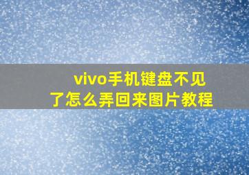 vivo手机键盘不见了怎么弄回来图片教程