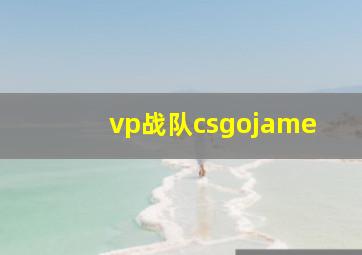 vp战队csgojame