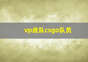 vp战队csgo队员