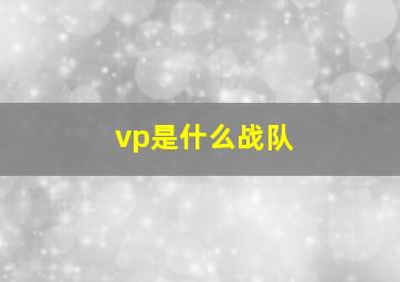 vp是什么战队