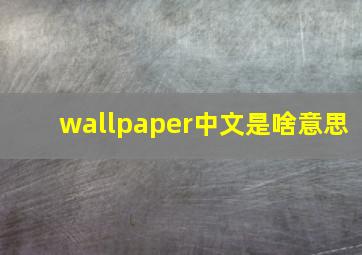 wallpaper中文是啥意思