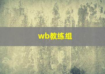 wb教练组