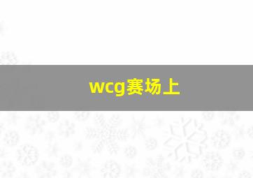 wcg赛场上