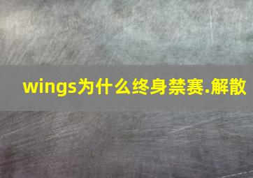 wings为什么终身禁赛.解散