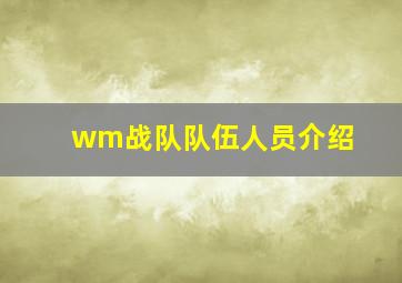 wm战队队伍人员介绍