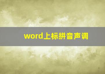 word上标拼音声调