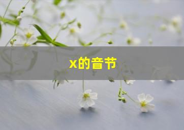 x的音节