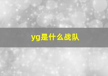 yg是什么战队