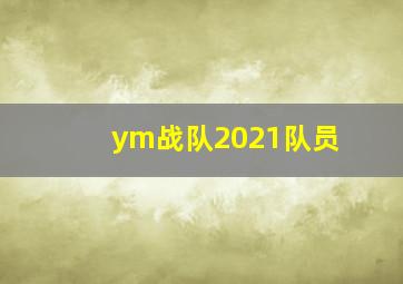 ym战队2021队员