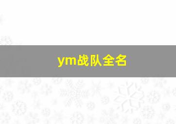 ym战队全名