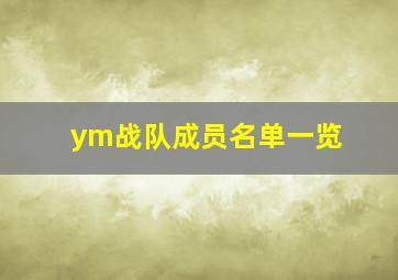 ym战队成员名单一览