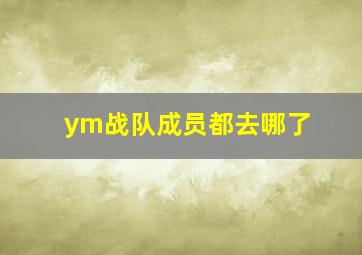 ym战队成员都去哪了