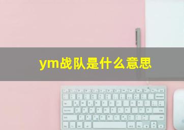 ym战队是什么意思