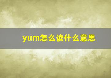 yum怎么读什么意思