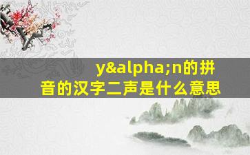 yαn的拼音的汉字二声是什么意思