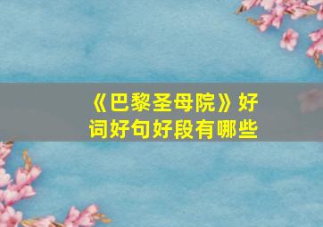 《巴黎圣母院》好词好句好段有哪些