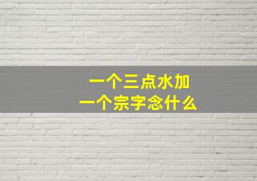 一个三点水加一个宗字念什么