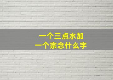 一个三点水加一个宗念什么字