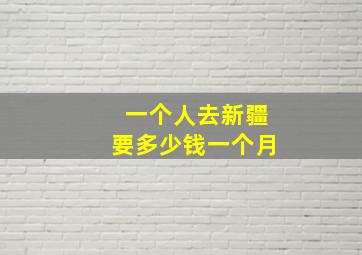 一个人去新疆要多少钱一个月