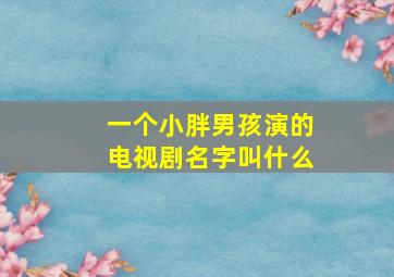 一个小胖男孩演的电视剧名字叫什么