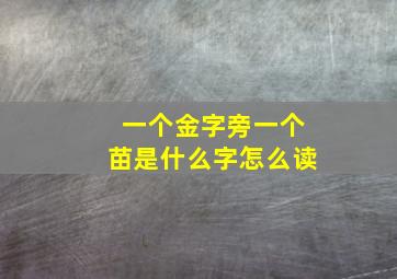 一个金字旁一个苗是什么字怎么读