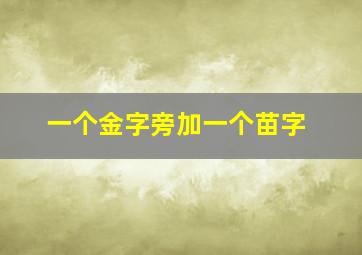 一个金字旁加一个苗字