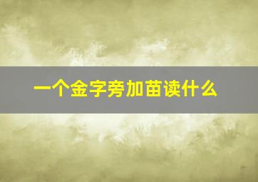 一个金字旁加苗读什么