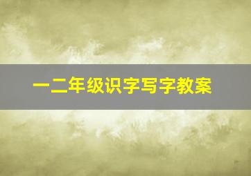 一二年级识字写字教案