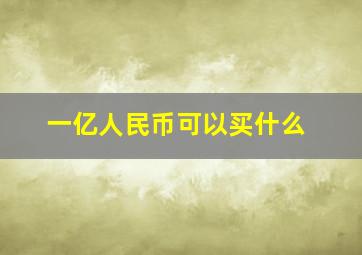 一亿人民币可以买什么