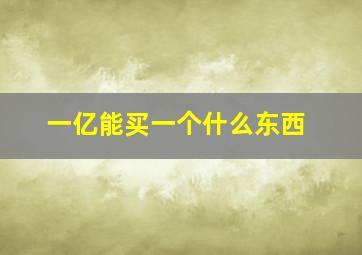 一亿能买一个什么东西