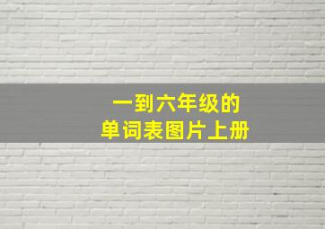 一到六年级的单词表图片上册