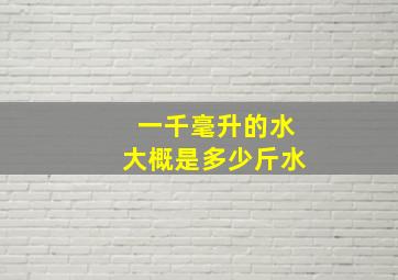 一千毫升的水大概是多少斤水