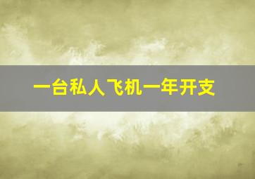 一台私人飞机一年开支