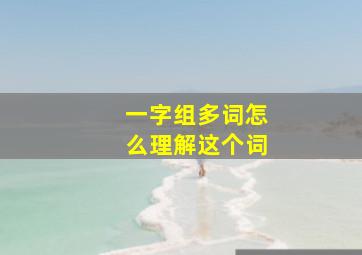 一字组多词怎么理解这个词