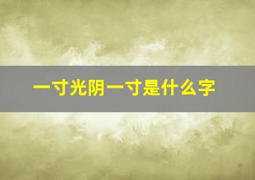 一寸光阴一寸是什么字