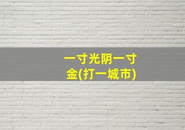 一寸光阴一寸金(打一城市)