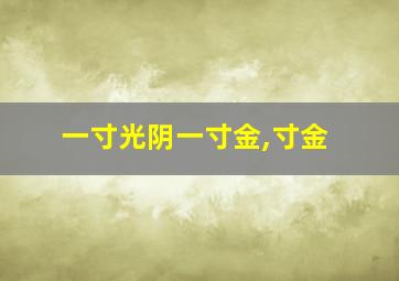 一寸光阴一寸金,寸金