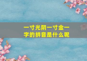 一寸光阴一寸金一字的拼音是什么呢