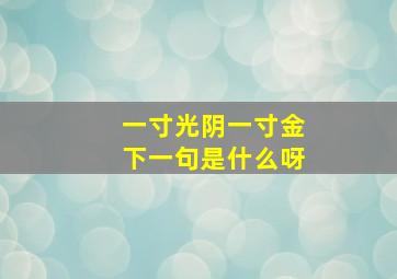 一寸光阴一寸金下一句是什么呀