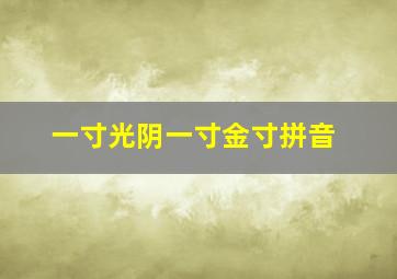 一寸光阴一寸金寸拼音