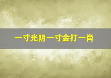 一寸光阴一寸金打一肖