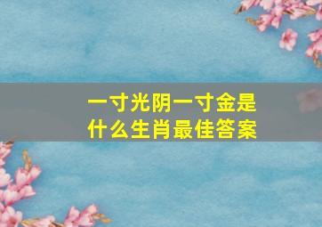 一寸光阴一寸金是什么生肖最佳答案